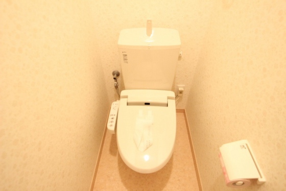 トイレ　※別部屋の写真です。
