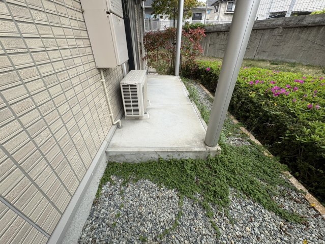庭