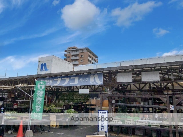 ホームセンター　ホームプラザナフコ徳力店（ホームセンター）まで153m