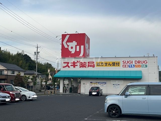ドラックストア　スギドラッグ 水野店（ドラッグストア）まで706m