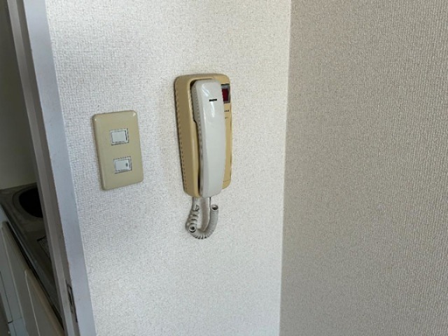 セキュリティ　ドアホンです