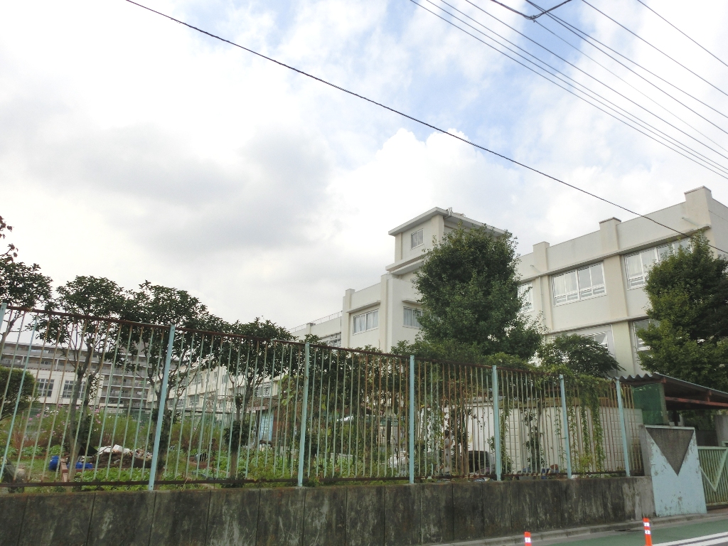 小学校　川崎市立向小学校（小学校）まで85m