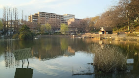 公園　板橋区立 見次公園（公園）まで559m