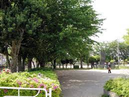 公園　中島込公園（公園）まで381m