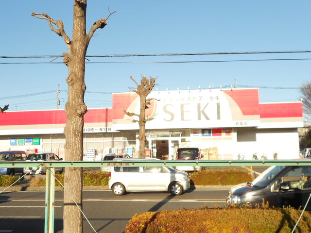 ドラックストア　ドラッグストアセキ若葉店（ドラッグストア）まで895m