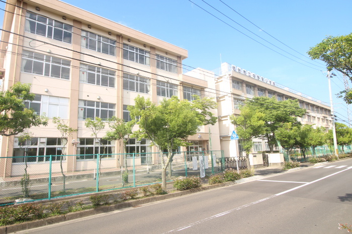 小学校　仙台市立中野栄小学校（小学校）まで251m