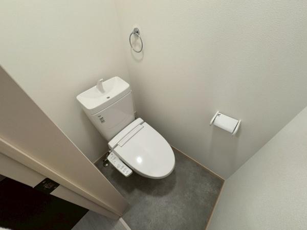 メゾンヴィオレ翔開のトイレ写真