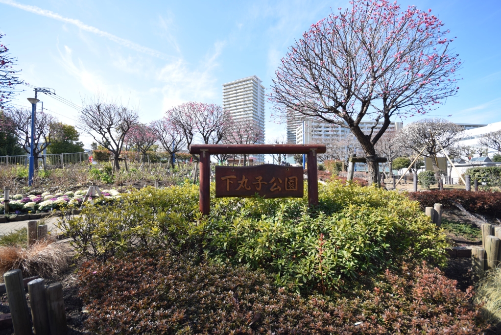 公園　下丸子公園（公園）まで837m