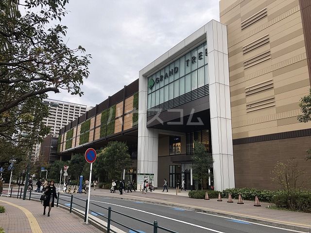 スーパー　イトーヨーカドー グランツリー武蔵小杉店（スーパー）まで123m