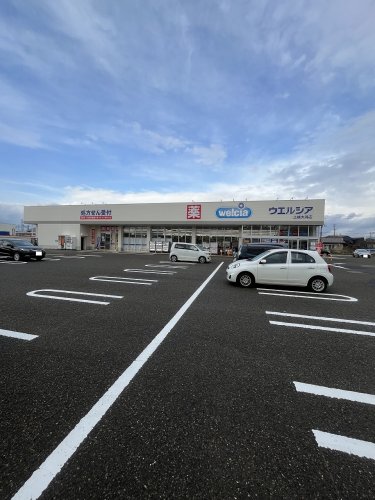ドラックストア　ウエルシア 上越大潟店（ドラッグストア）まで348m