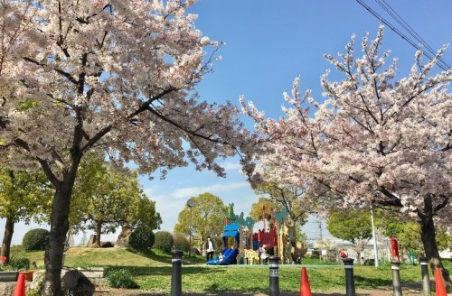 公園　船堂公園（公園）まで628m