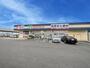 ドラックストア　よどやドラッグ高知比島店（ドラッグストア）まで292m
