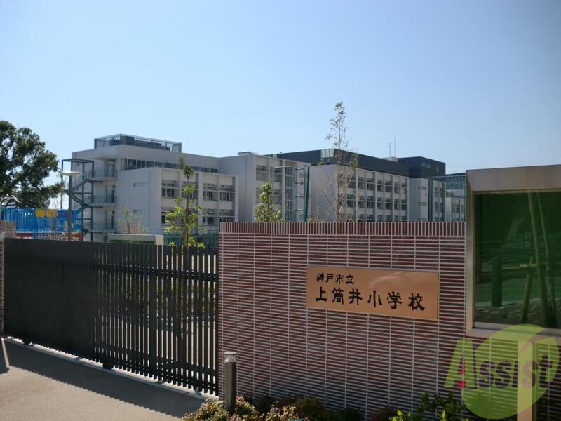 小学校　神戸市立上筒井小学校（小学校）まで494m
