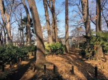公園　どんぐり山の森緑地（公園）まで362m