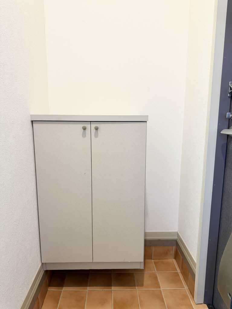 ディアス三町 A棟の玄関写真