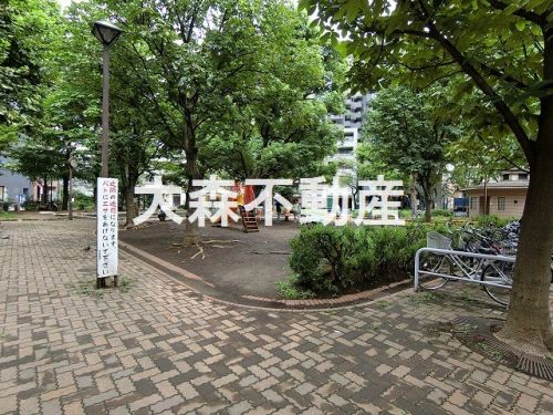 公園　入新井公園（公園）まで541m