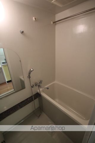 プレサンス心斎橋タイミックスの風呂写真