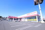 その他　コジマ・ビッグカメラ港北インター店（その他）まで1600m