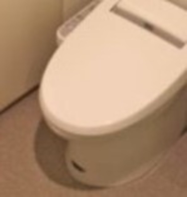 トイレ　同仕様