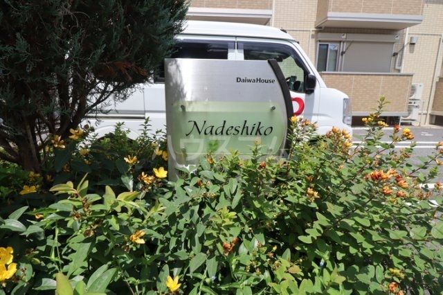 Nadeshikoの外観写真