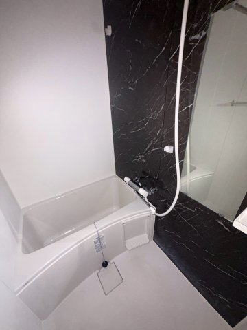 S-RESIDENCE三国WESTの風呂写真