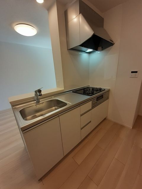 上信電鉄 西吉井駅 徒歩22分 2階建 築4年のキッチン写真