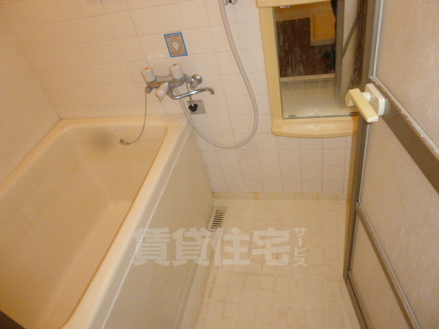 ドゥエルなかせいの風呂写真