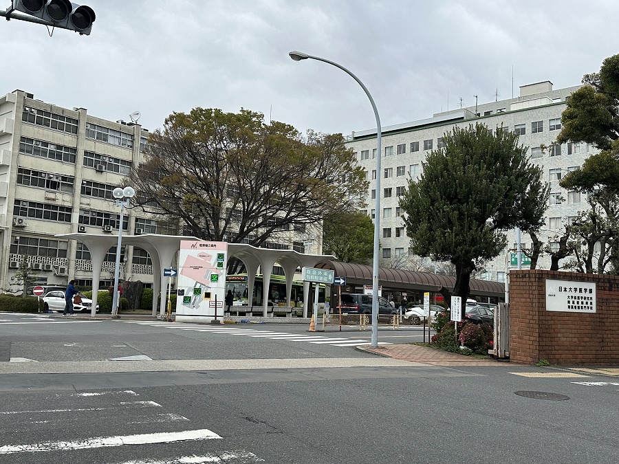 病院　日本大学医学部附属板橋病院（病院）まで902m