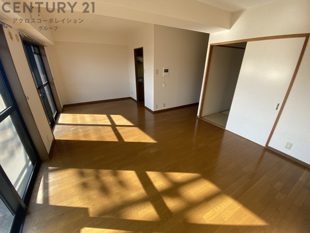 居室・リビング　南向きで陽当たり良好なお部屋です♪