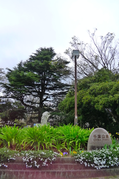公園　千葉公園（公園）まで941m