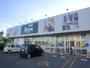 ホームセンター　Seria生活良品屯田店（ホームセンター）まで381m