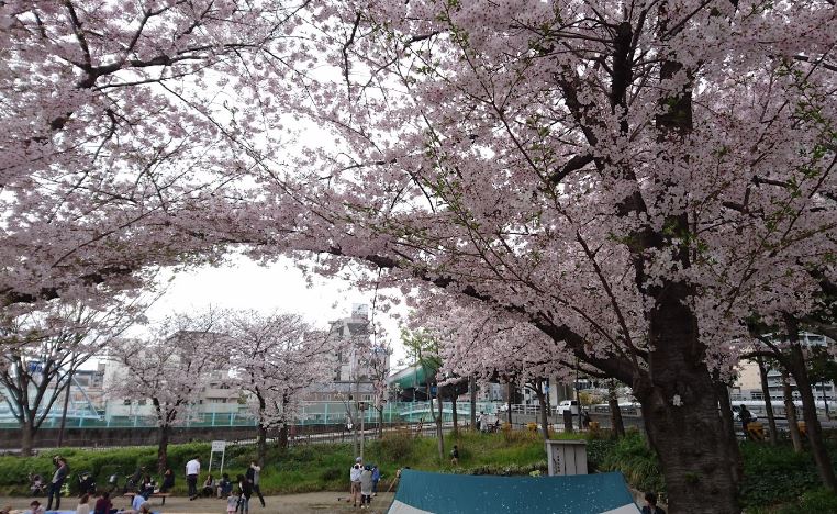 【大阪市西区江戸堀のマンションの公園】