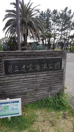 辻堂海岸団地 1号棟の周辺写真