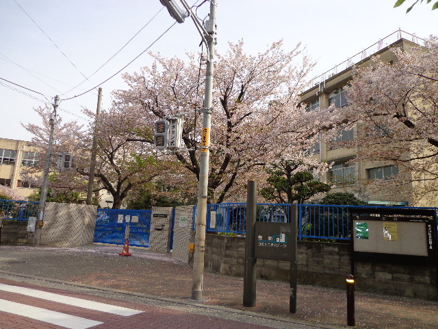 小学校　豊新小学校（小学校）まで600m
