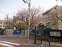 小学校　豊新小学校（小学校）まで600m
