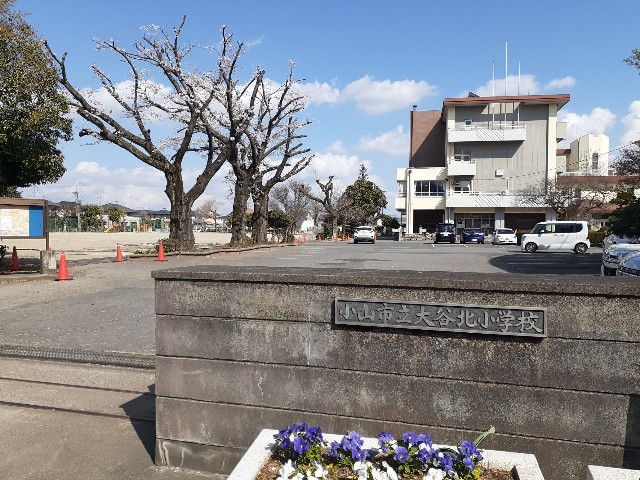小学校　小山市立大谷北小学校（小学校）まで550m