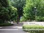 公園　諏訪の森公園（公園）まで689m