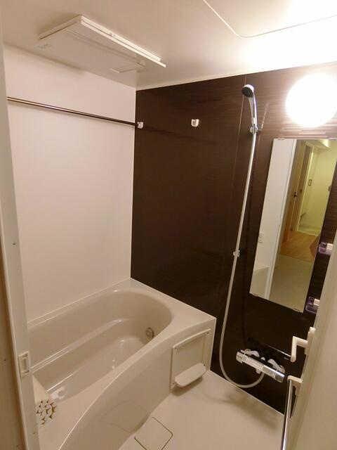 ＪＲ山手線 神田駅 徒歩3分 14階建 築8年の風呂写真