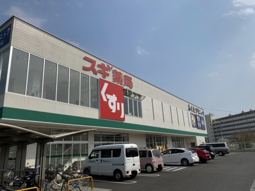 ドラックストア　スギ薬局向島店（ドラッグストア）まで315m