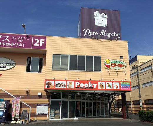 スーパー　パレマルシェ 中村店（スーパー）まで443m
