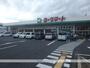 スーパー　ヨークマート南元宿店（スーパー）まで1161m