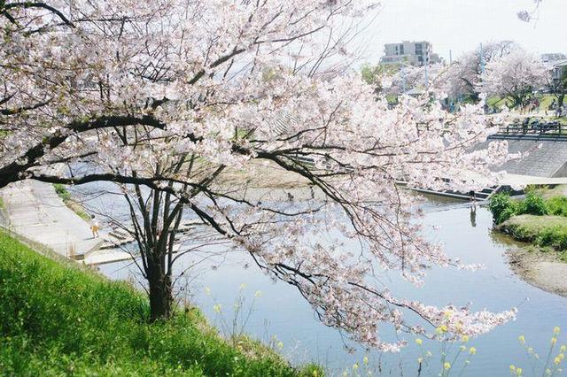 その他　高槻市摂津峡公園（その他）まで3007m