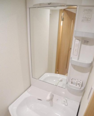 洗面設備　反転タイプのお部屋です