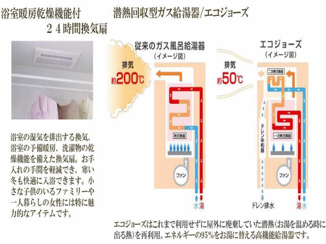 【アルファテラス洲雲のその他】