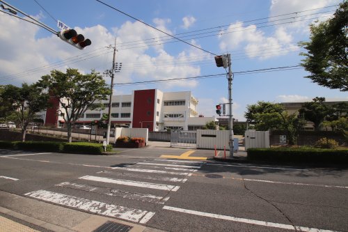 【プリムローズヒル（藤沢台）の小学校】