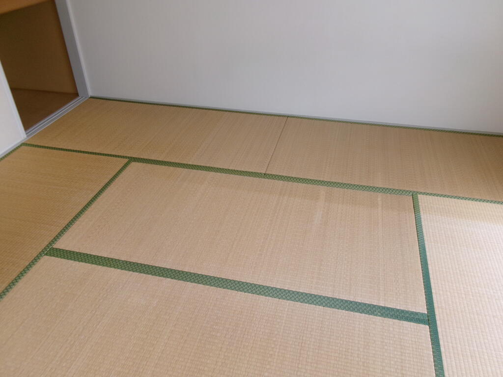 ＪＲ常磐線 泉駅 2階建 築33年の居間写真