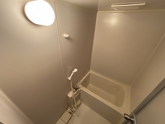 バス・シャワールーム　※別部屋の写真です