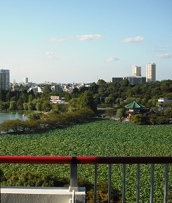 眺望　大きな公園も至近に有ります☆