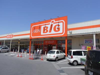 スーパー　ザ・ビッグ 佐久インターウェーブ店（スーパー）まで585m