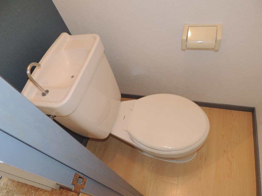 トイレ　水洗タイプのトイレです。